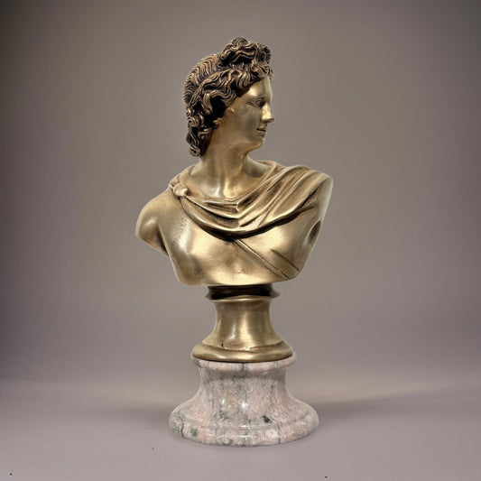 19th Century, Bronze Bust Depicting The Apollo Del Belvedere